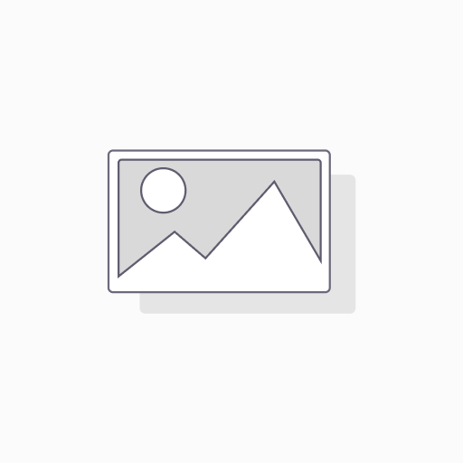 Invoice Adjustment